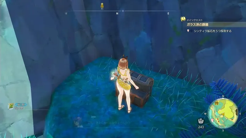 渓谷の湧水：仙人草