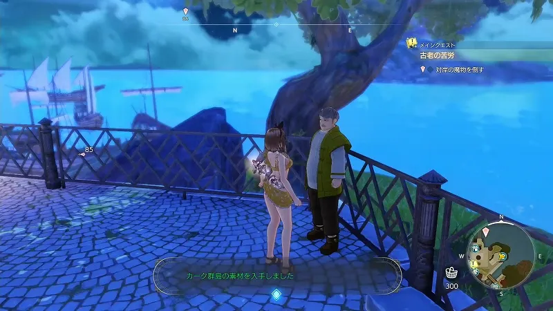 魔石の灯台：カーク群島の素材