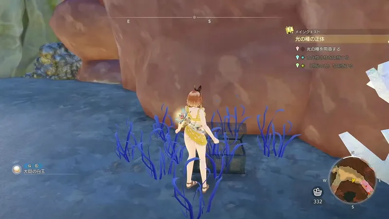 光浴の大樹：大貝の白玉