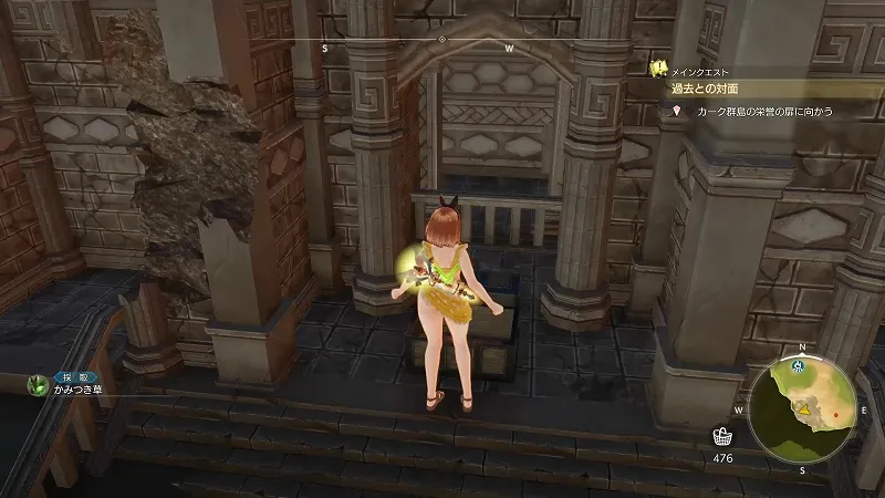 小さな港町:かみつき草