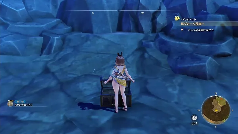 星見の高台：古代生物の化石