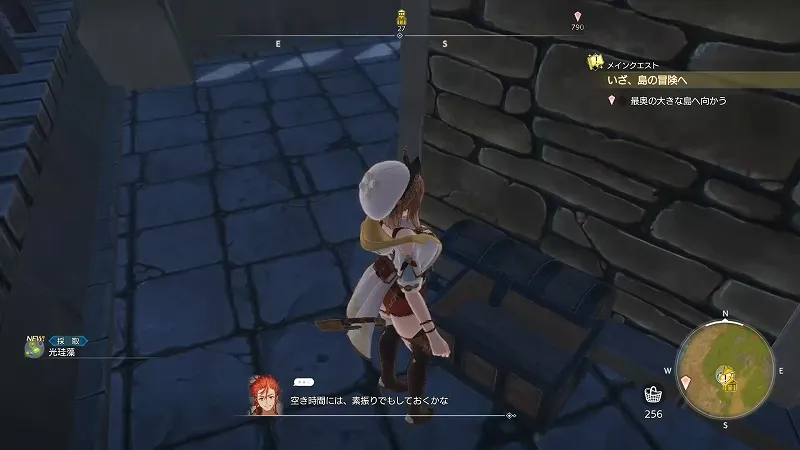 大灯台：光珪藻