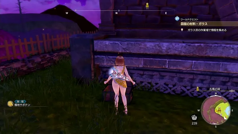 古竜の祠：極地サボテン