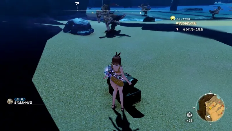 星見の高台：古代生物の化石