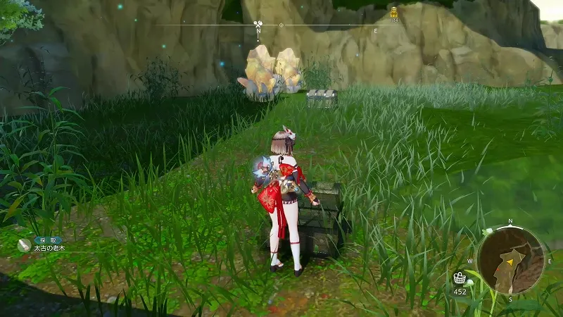 竜樹：太古の老木