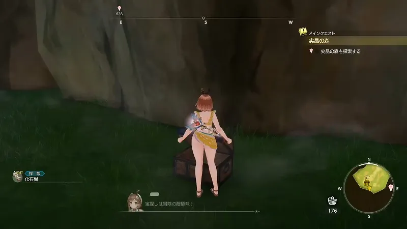 森の隠れ処：化石樹