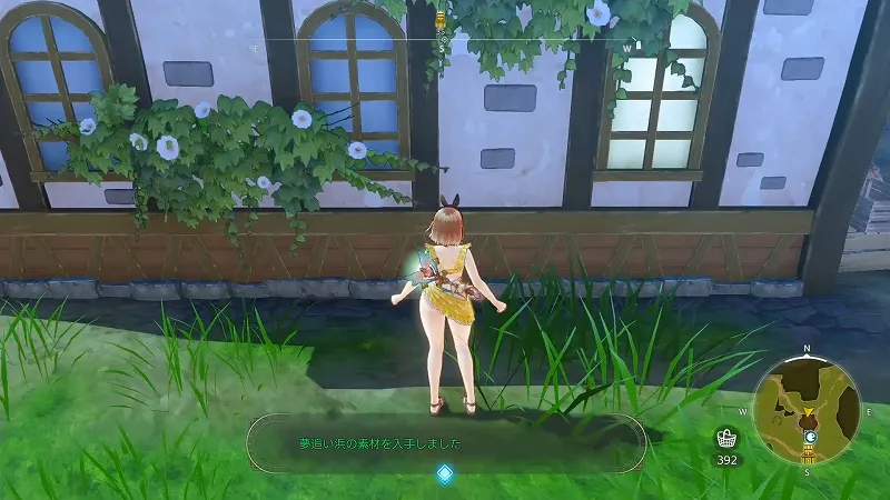 ライザの家：夢追い浜の素材