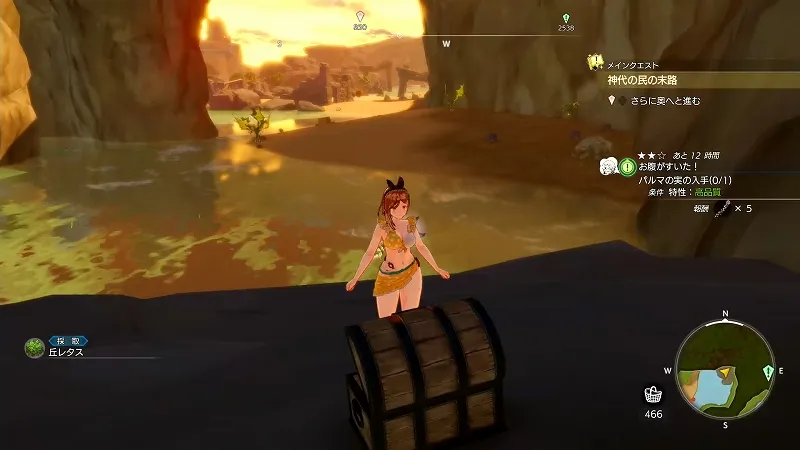 光浴の大樹：丘レタス