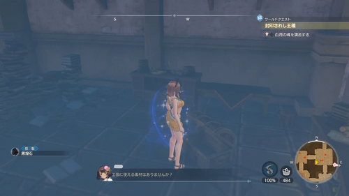 開かずの遺跡の宝箱