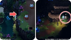 ジャングルの道：宝箱