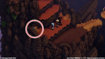 エクス＝タルの着陸場：宝箱