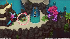 サンゴの滝：宝箱