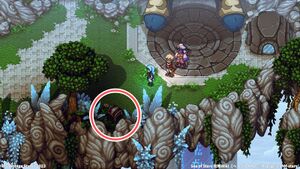 攻略チャート：雲の王国