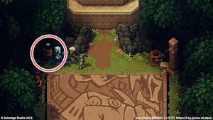 攻略チャート：苔むす隠し場