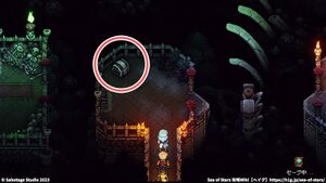 死霊術師の館：宝箱