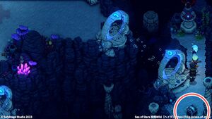 アンツドロ：宝箱