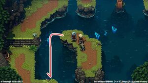 攻略チャート：ジャングルの道