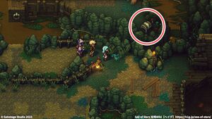 歌キノコの沼：宝箱