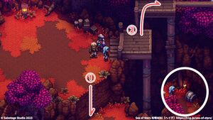 攻略チャート：紅葉の丘