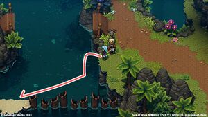 攻略チャート：ジャングルの道