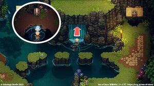 聖なる森：宝箱