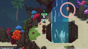 サンゴの滝：宝箱