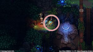 ジャングルの道：宝箱