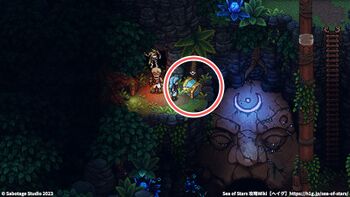 ジャングルの道：宝箱