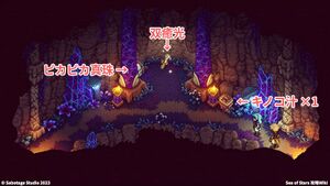 禁断の洞窟：宝箱2