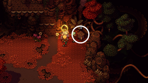 線路の森：宝箱2