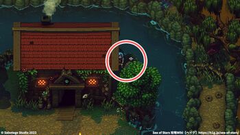 歌キノコの沼：宝箱