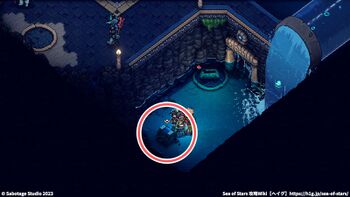 アンツドロ：宝箱