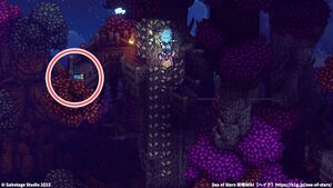 攻略チャート：紅葉の丘