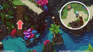 攻略チャート：サンゴの滝