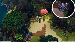 攻略チャート：ジャングルの道