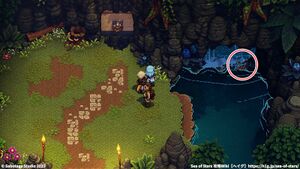 攻略チャート：聖なる森