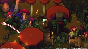 攻略チャート：歌キノコの沼