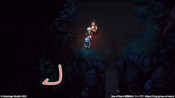 呪いの森：宝箱