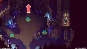 攻略チャート：禁断の洞窟10