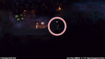 レイス島船着場：宝箱