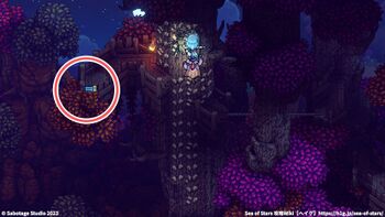 紅葉の丘：宝箱