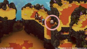 ムーアランド：宝箱