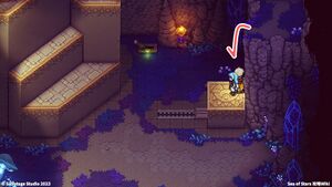 攻略チャート：禁断の洞窟5