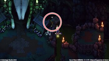 水浸しの墓場：宝箱