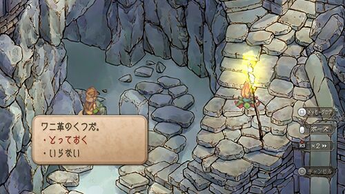 アニマ教の噂の画像