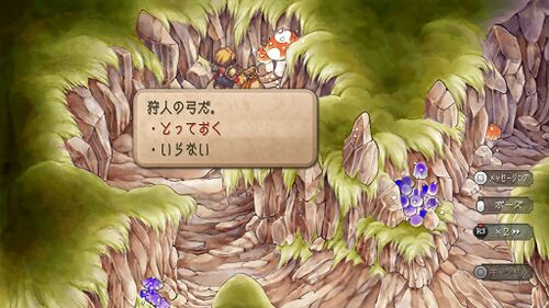 ギュスターヴ15才の画像