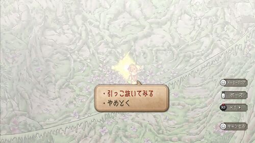 グラン・ヴァレを越えての画像