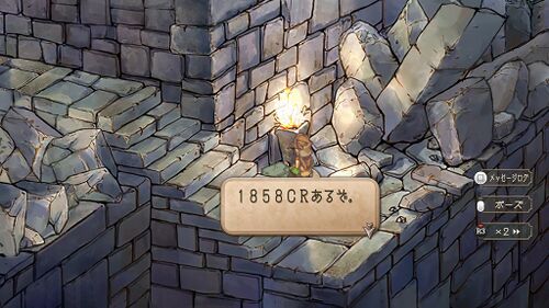 アニマ教の噂の画像
