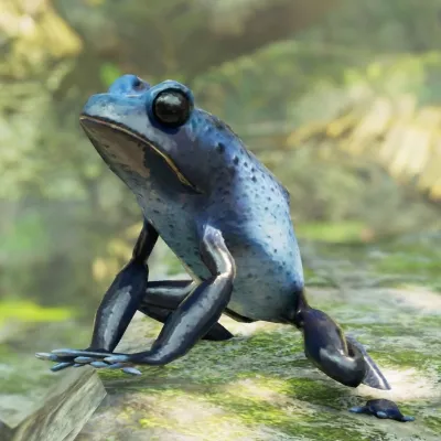 20%