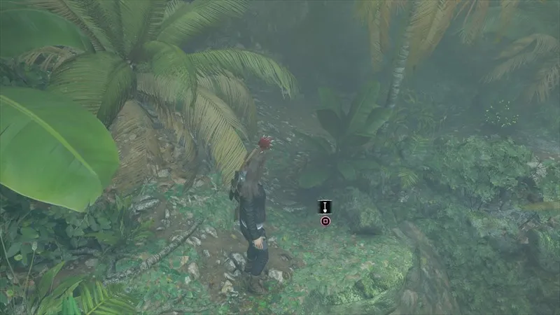 25%